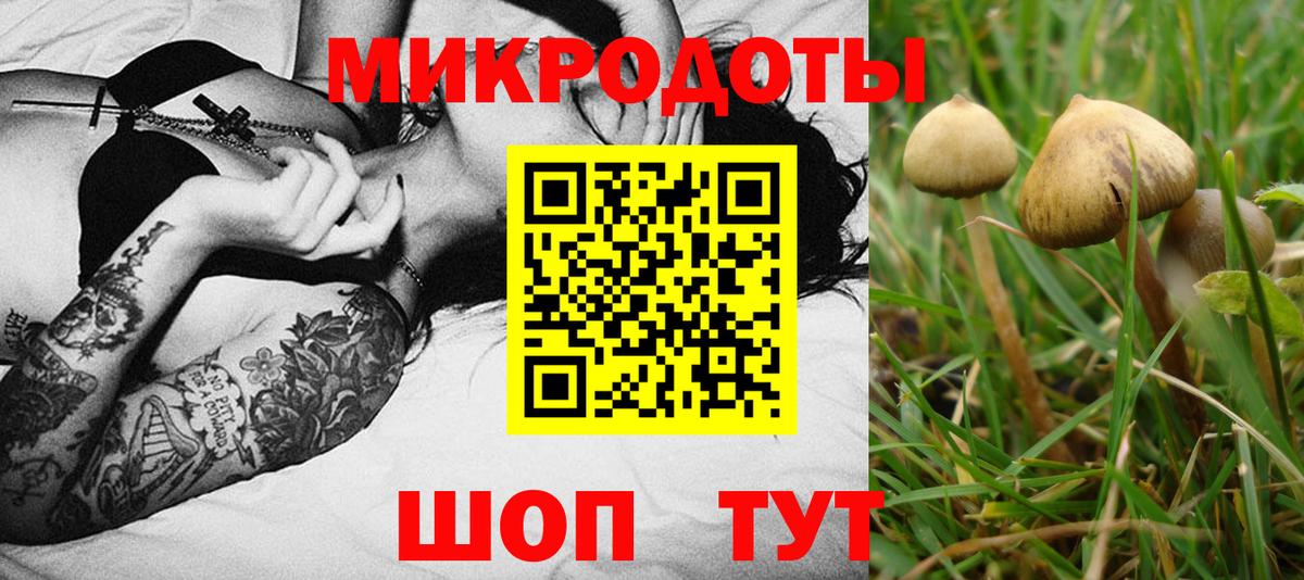 купить закладку  Вход с VPN  Саров  Галлюциногенные грибы MAGIC MUSHROOMS 